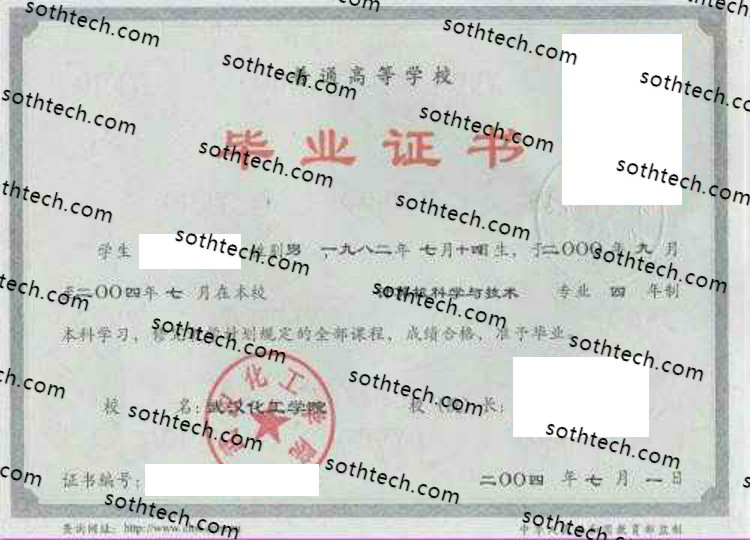2004武汉化工学院毕业证样本