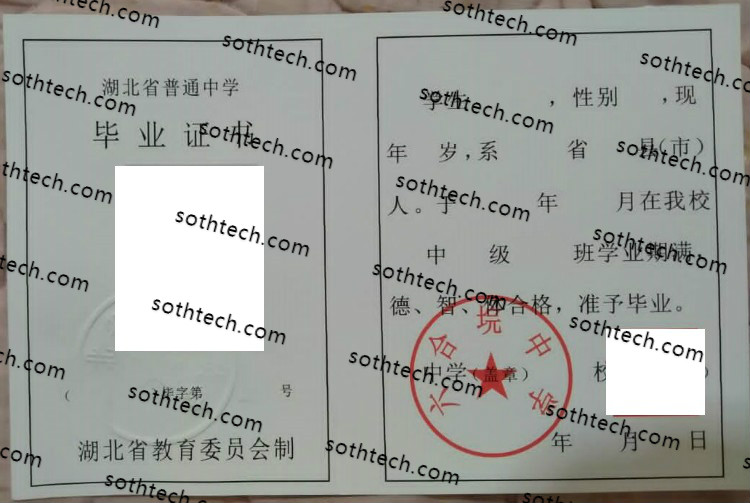 六合垸中学毕业证样本