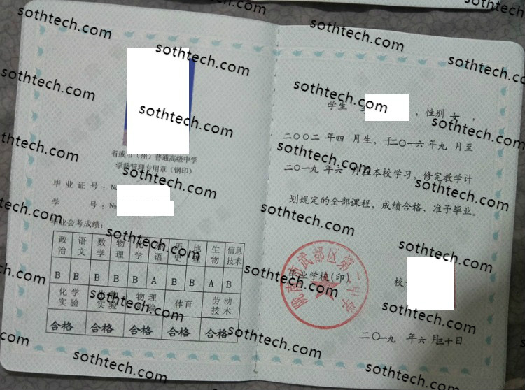 2019陇南市武都区第二中学毕业证样本