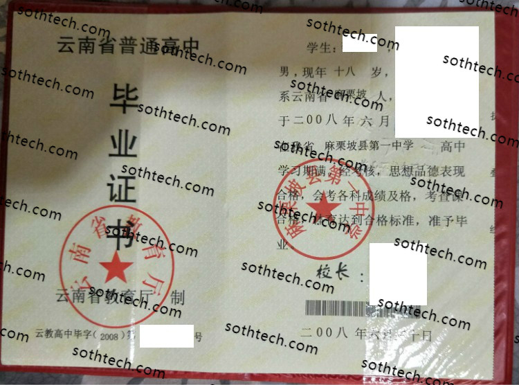 2008麻栗坡县第一中学毕业证样本
