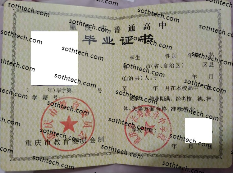 重庆市长寿渡舟中学校毕业证样本