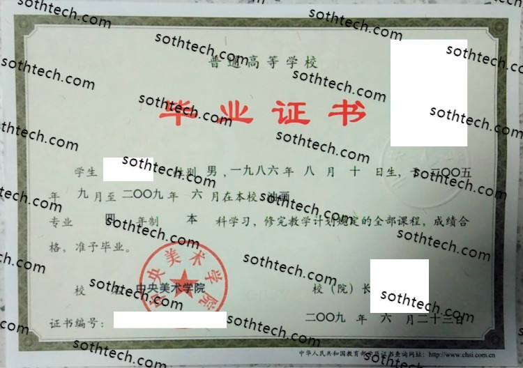 2009中央美术学院毕业证样本