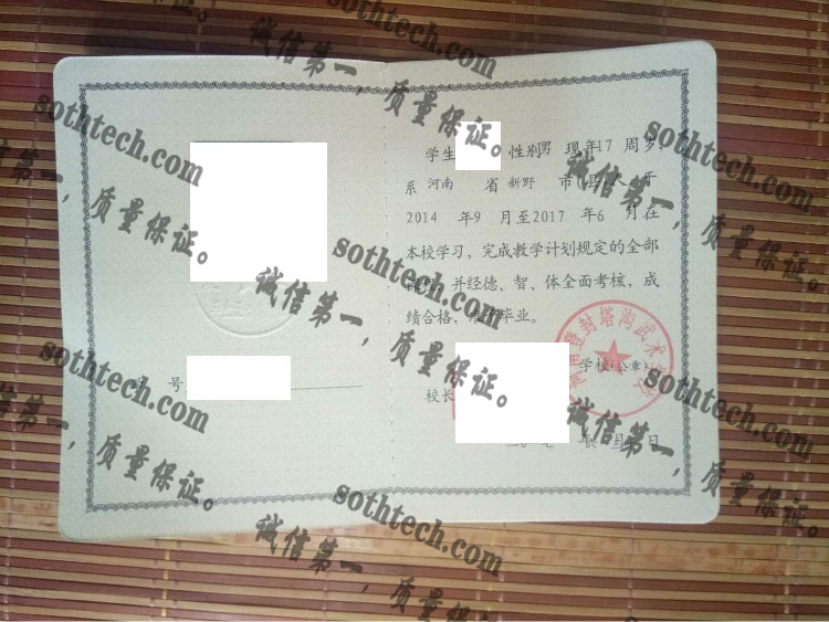 河南登封塔沟武术学校毕业证样本