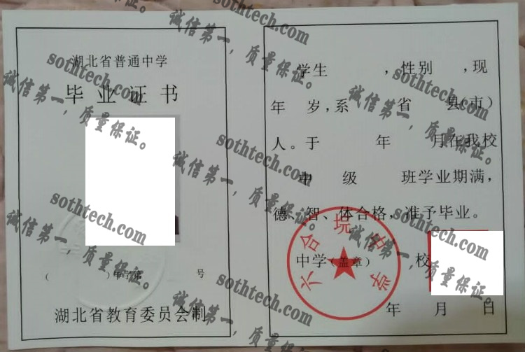 六合垸中学毕业证样本