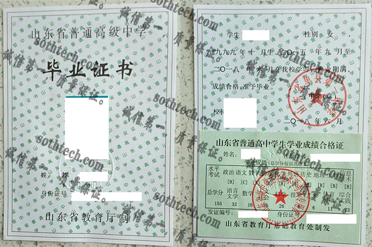 山东省单县第一中学毕业证样本