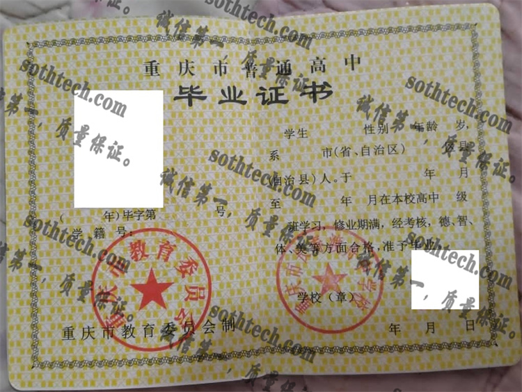 重庆市长寿渡舟中学校毕业证样本